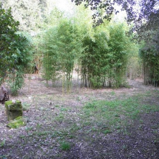  CHERCHE MIDI IMMOBILIER : Terrain | LA CAPELLE-ET-MASMOLENE (30700) | 0 m2 | 96 000 &euro; 