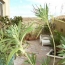  CHERCHE MIDI IMMOBILIER : Maison / Villa | SERNHAC (30210) | 130 m2 | 315 000 &euro; 