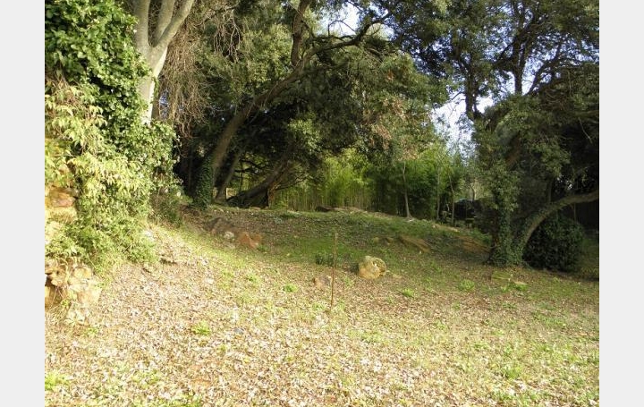 CHERCHE MIDI IMMOBILIER : Terrain | LA CAPELLE-ET-MASMOLENE (30700) | 0 m2 | 96 000 &euro; 